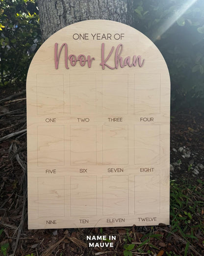 My First Year Board, One Year of Photo Board, First Year Board, First Birthday Decor, Baby's my first year sign 4x6, One Year Old Birthday