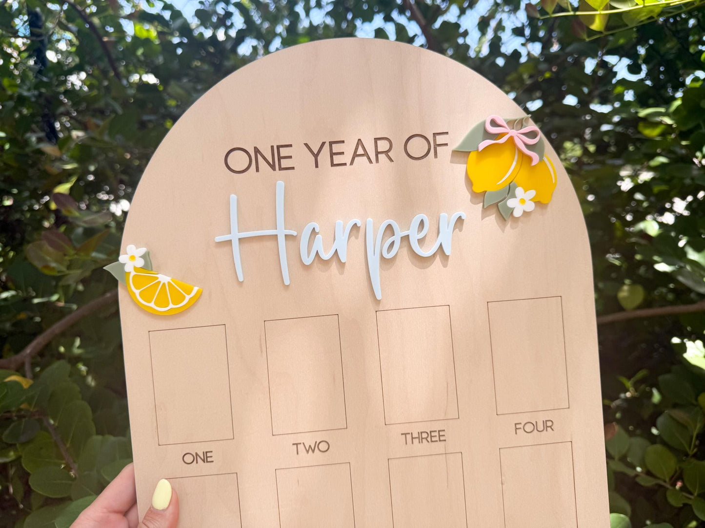 First Year Photo Board, Main Squeeze Lemon First Birthday One Year of Photo Board, Pink Lemonade Birthday decor, Milestone Display