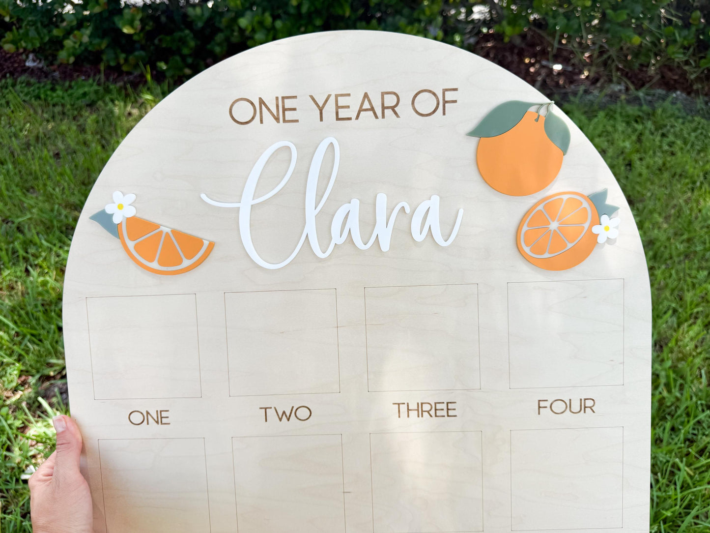 First Year Photo Board, One Little Cutie Orange First Birthday One Year of Photo Board, Orange Theme Birthday decor, Milestone Display