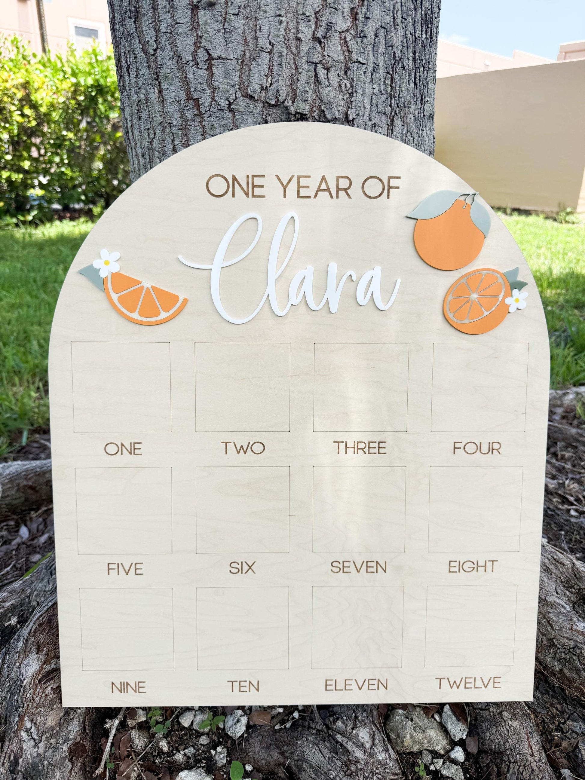 First Year Photo Board, One Little Cutie Orange First Birthday One Year of Photo Board, Orange Theme Birthday decor, Milestone Display