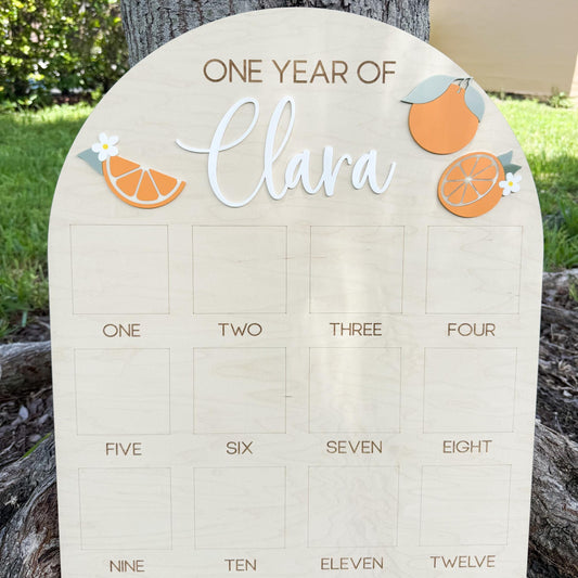 First Year Photo Board, One Little Cutie Orange First Birthday One Year of Photo Board, Orange Theme Birthday decor, Milestone Display
