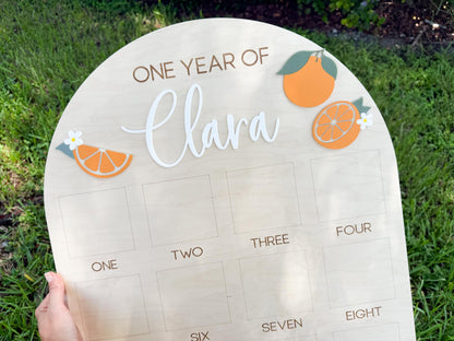 First Year Photo Board, One Little Cutie Orange First Birthday One Year of Photo Board, Orange Theme Birthday decor, Milestone Display