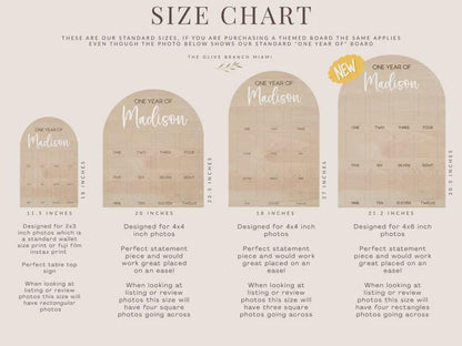First Year Photo Board, Main Squeeze Lemon First Birthday One Year of Photo Board, Pink Lemonade Birthday decor, Milestone Display