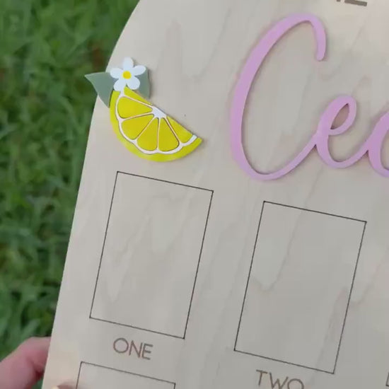 First Year Photo Board, Main Squeeze Lemon First Birthday One Year of Photo Board, Pink Lemonade Birthday decor, Milestone Display