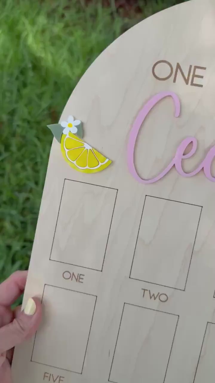 First Year Photo Board, Main Squeeze Lemon First Birthday One Year of Photo Board, Pink Lemonade Birthday decor, Milestone Display