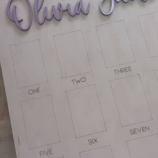 My First Year Board, One Year of Photo Board, First Year Board, First Birthday Decor, Baby's my first year sign 4x6, One Year Old Birthday