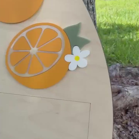 First Year Photo Board, One Little Cutie Orange First Birthday One Year of Photo Board, Orange Theme Birthday decor, Milestone Display