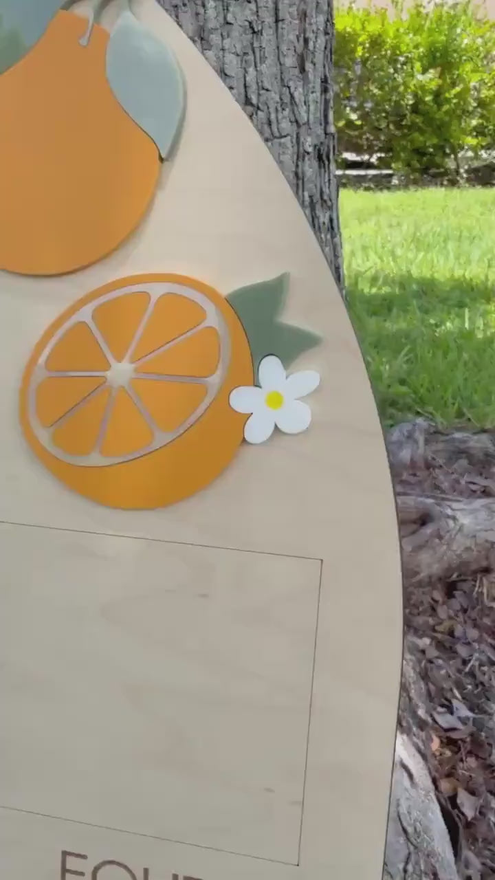 First Year Photo Board, One Little Cutie Orange First Birthday One Year of Photo Board, Orange Theme Birthday decor, Milestone Display