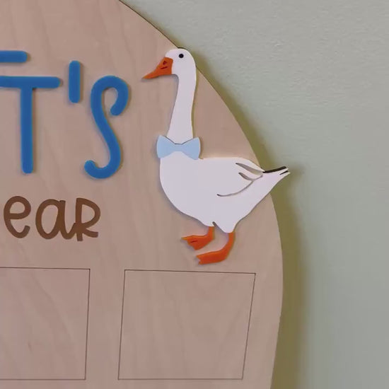 One Silly Goose First Birthday Photo Board, One Silly Year First Birthday, One Year Of Vintage Goose Milestone Sign First Year Photo Display