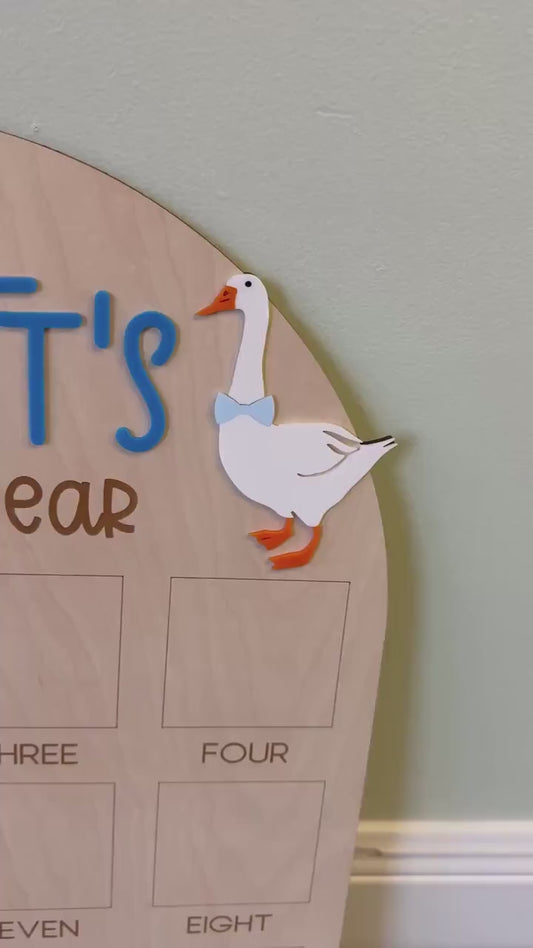 One Silly Goose First Birthday Photo Board, One Silly Year First Birthday, One Year Of Vintage Goose Milestone Sign First Year Photo Display