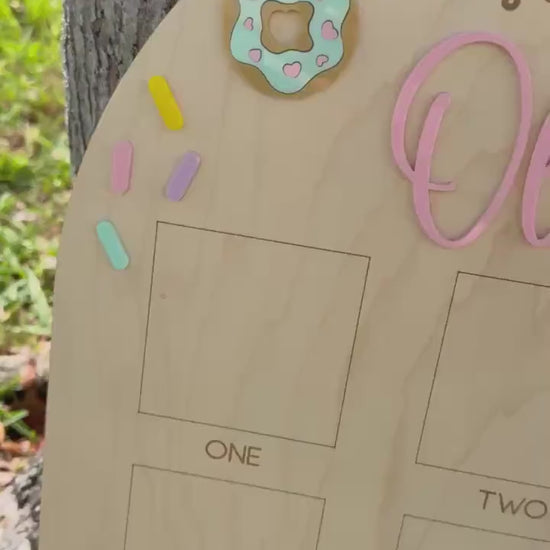 One Sweet Year Photo Board, Donut Birthday Party, Sweets Theme First Birthday Monthly Photo Board, Sweet One First Year Photo Display
