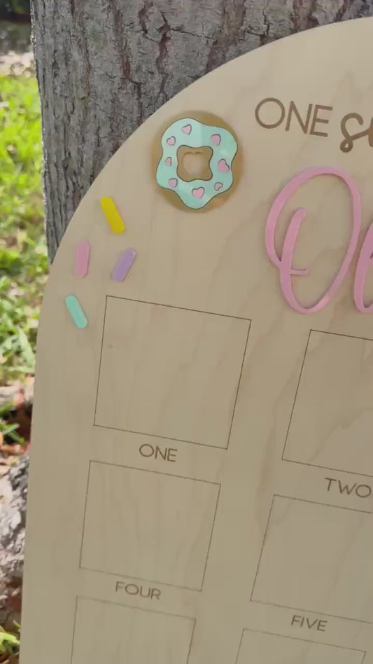 One Sweet Year Photo Board, Donut Birthday Party, Sweets Theme First Birthday Monthly Photo Board, Sweet One First Year Photo Display
