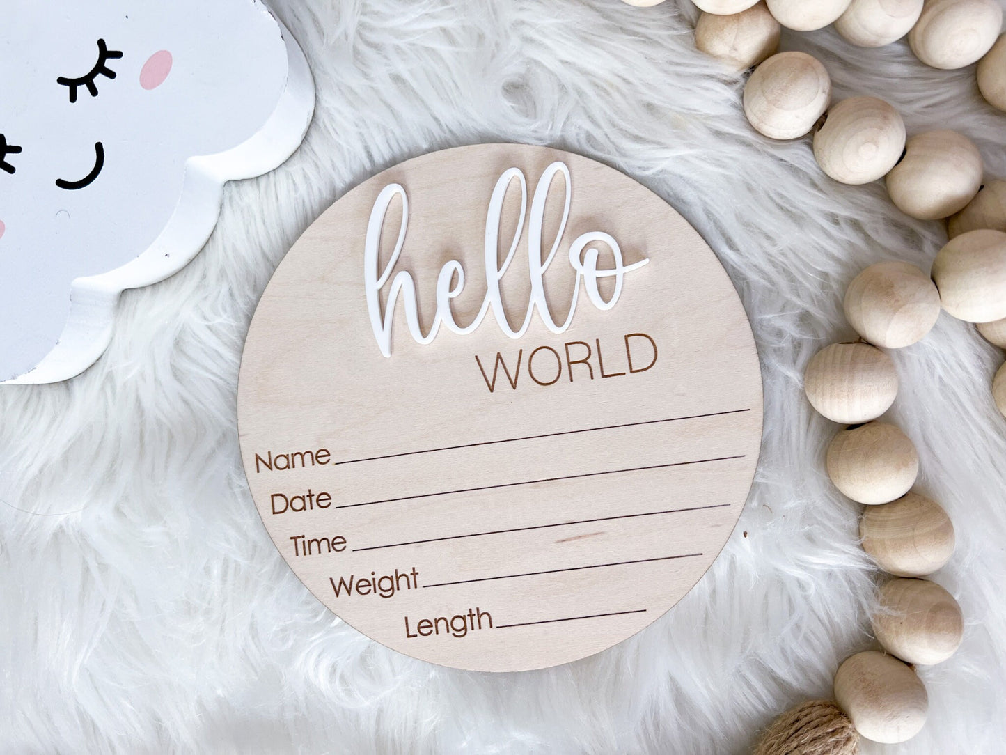 Hello World Birth Announcement Sign