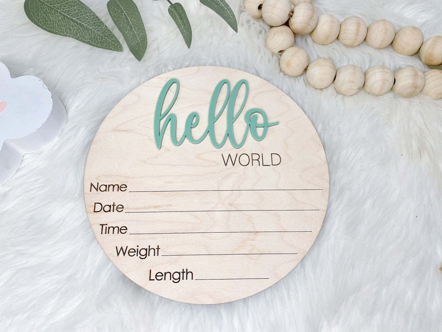 Hello World Birth Announcement Sign